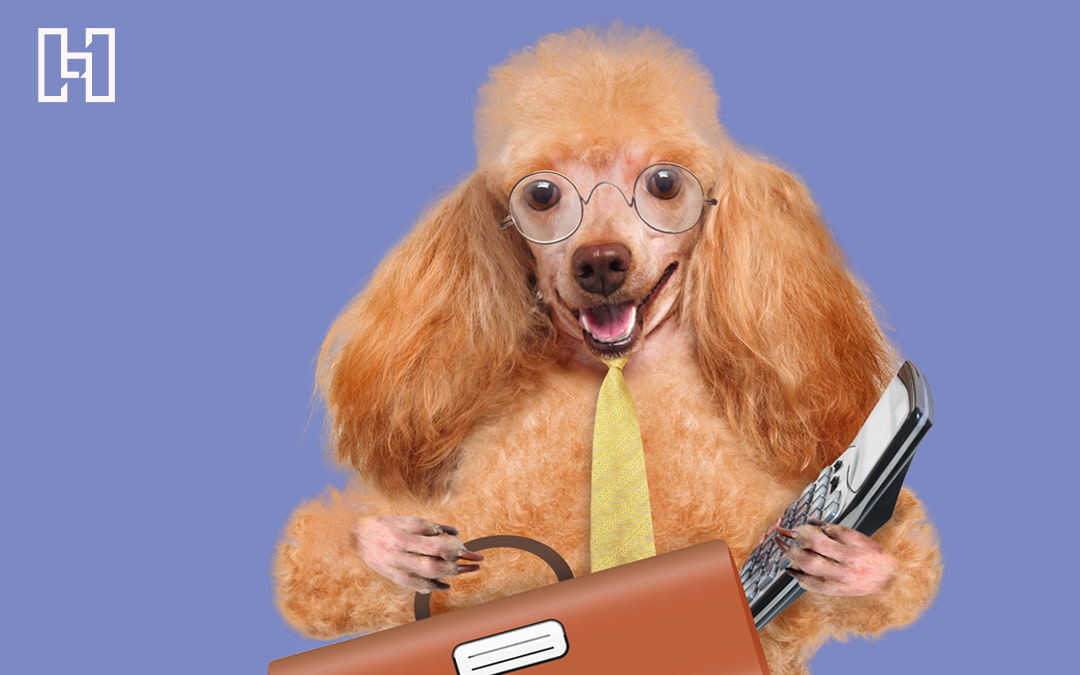 Featured graphic of a poodle with briefcase and phone