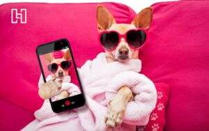 Featured image of a dog in a bathrobe with a cellphone taking a selfie