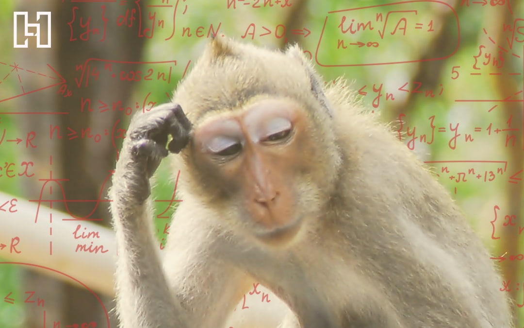 Featured image monkey scratching head with math algorithms background
