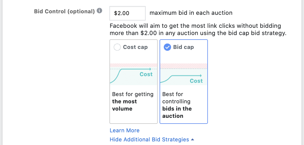 Screenshot of Facebook Ads Manager: Setting Up Your Bid Control
