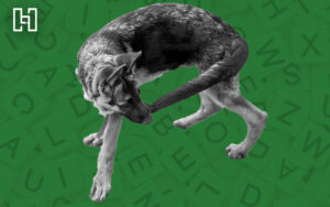 Featured Image for What is Keyword Cannibalization