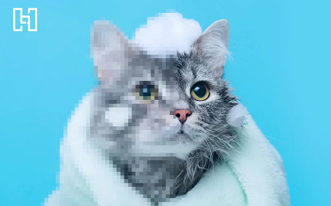 Image of cat with left side pixelated to demonstrate how different image compression algorithms work for WebP Image Optimization blog post.