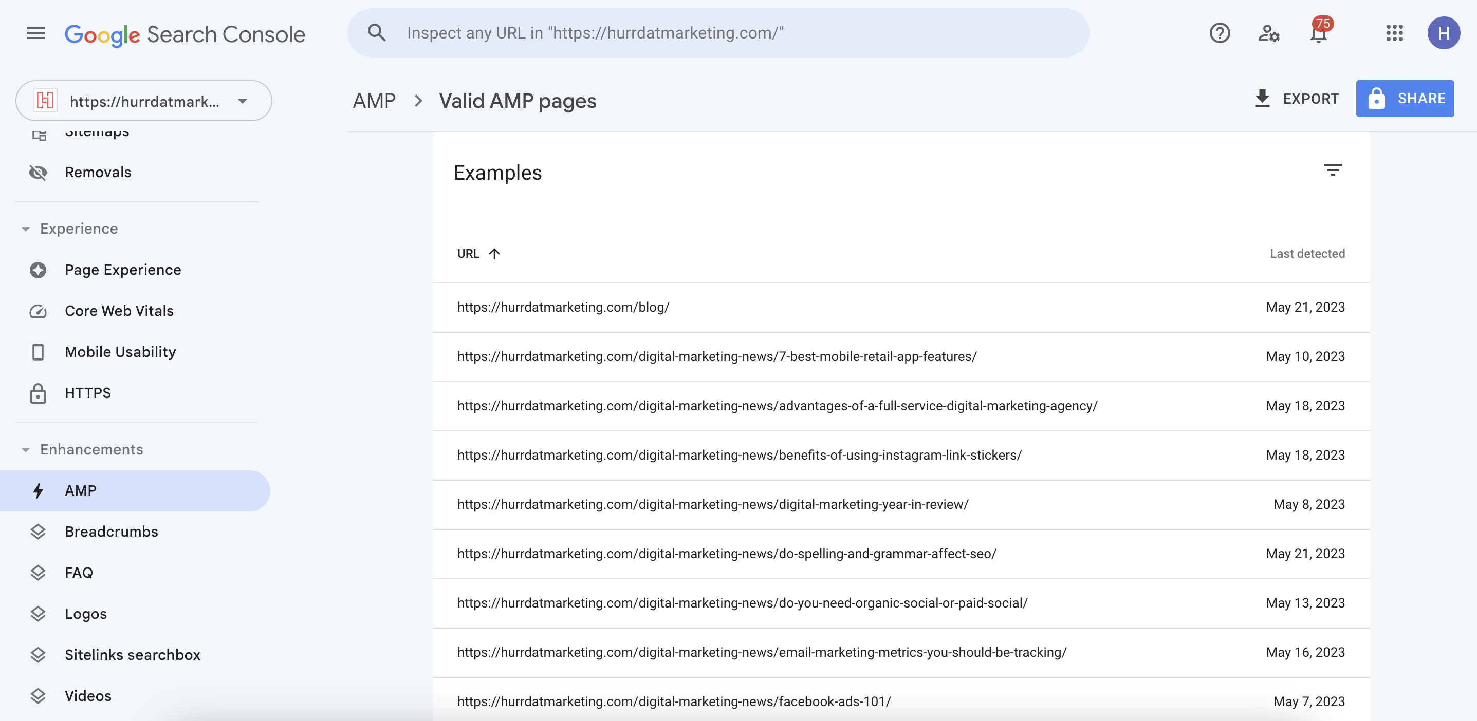 Screenshot of Google Search Console's AMP tab with URL examples of valid AMP pages for the Hurrdat Marketing website