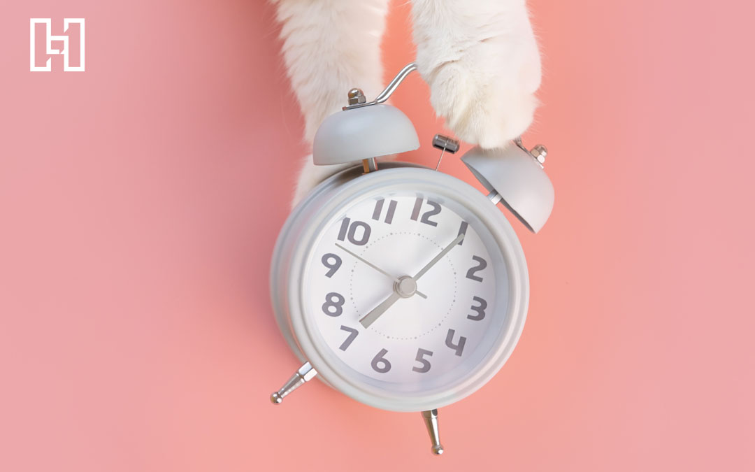 White cat paws playing with white analogue alarm clock