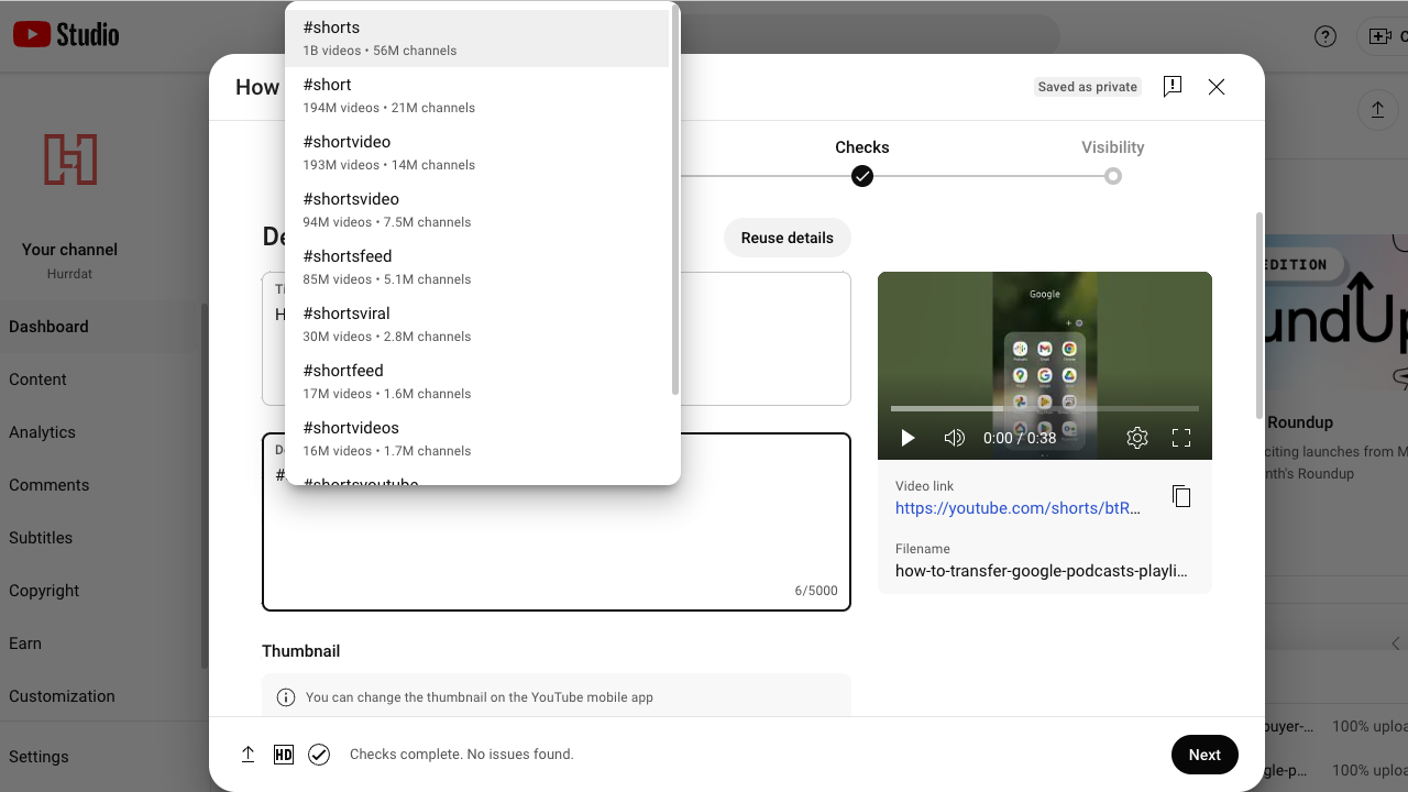 Screenshot of YouTube details screen with shorts hashtag typed into the description field