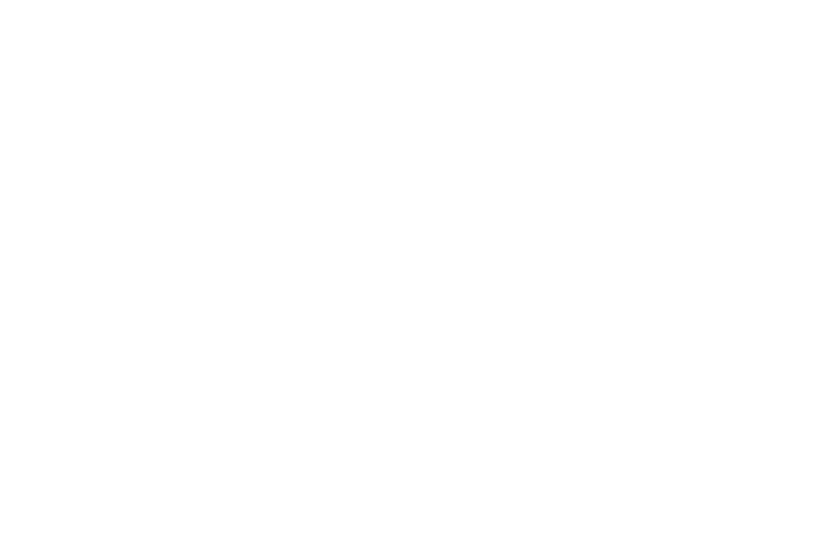 Core Bank Logo White