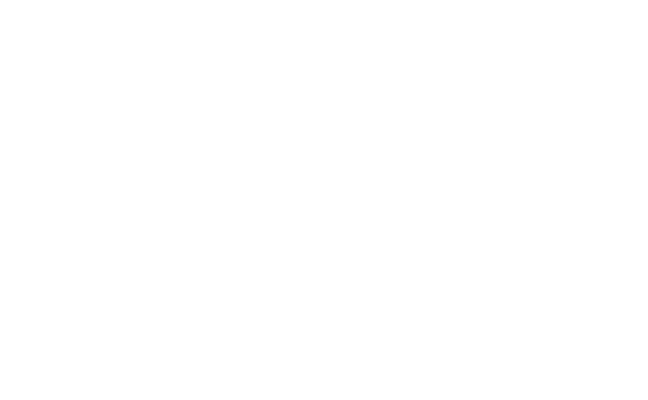 SEi Logo