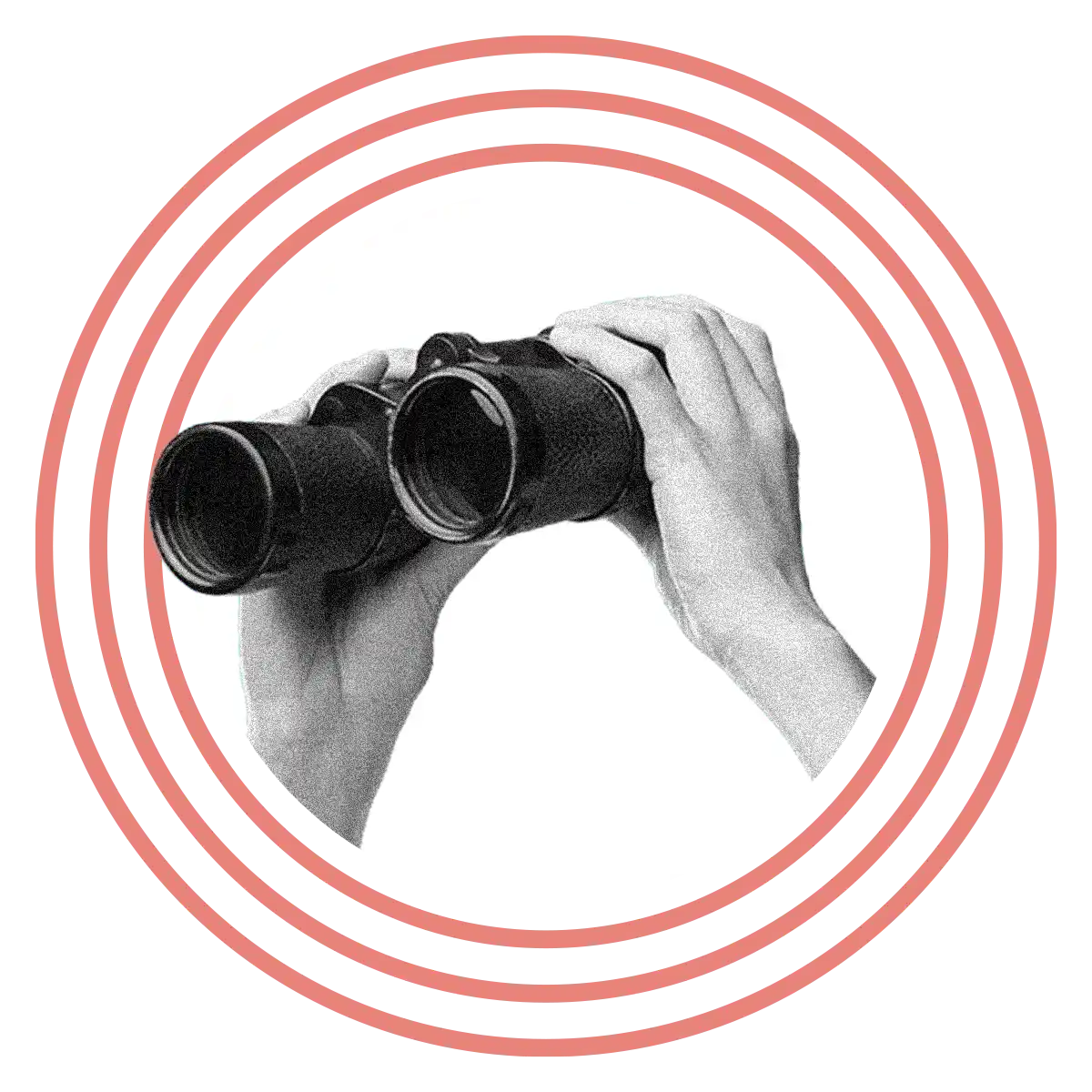 On-page SEO binoculars